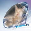 Персональный сайт кошки мейн кун.